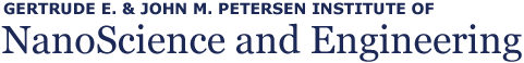 NanoScience and Engineering Logo