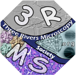 3RMS Logo